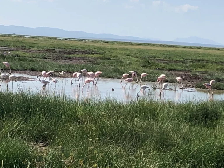 Visiting Kenya