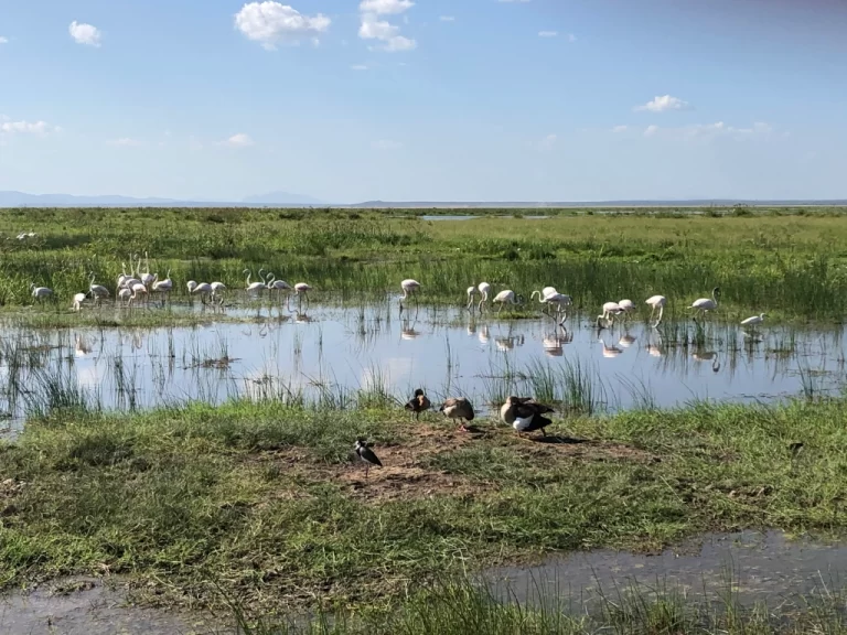 Visiting Kenya