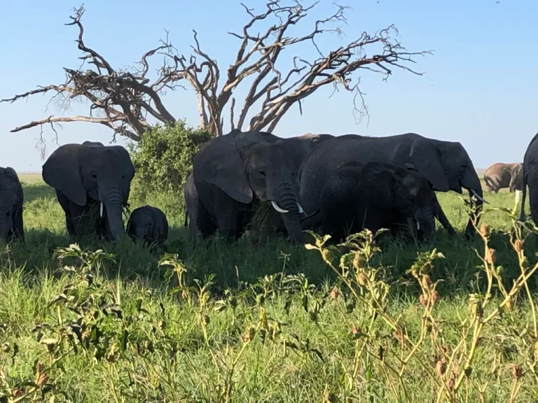 Visiting Kenya
