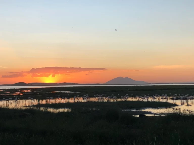 Visiting Kenya