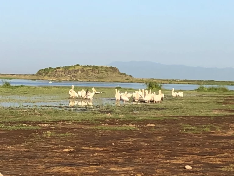 Visiting Kenya