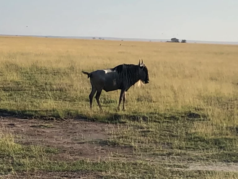 Visiting Kenya