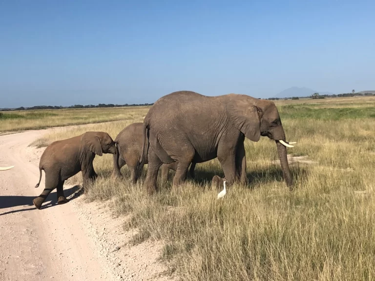 Visiting Kenya