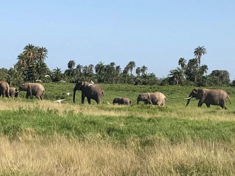 Visiting Kenya