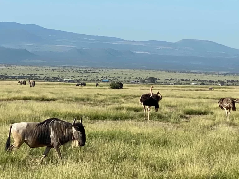 Visiting Kenya