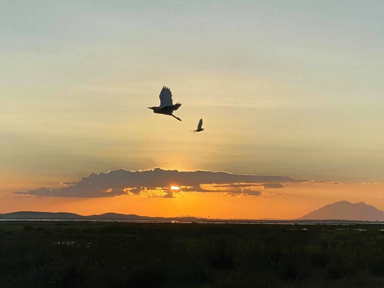 Visiting Kenya