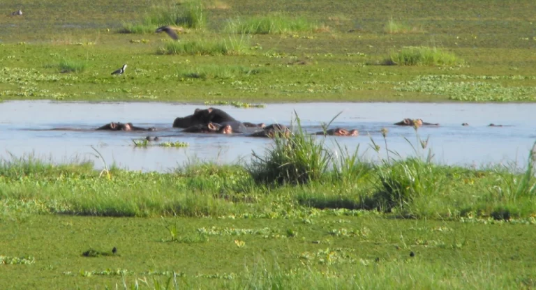 Visiting Kenya