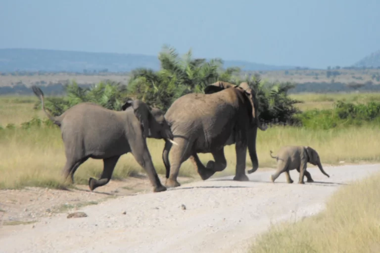 Visiting Kenya