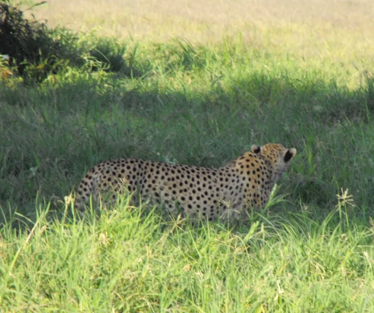Visiting Kenya