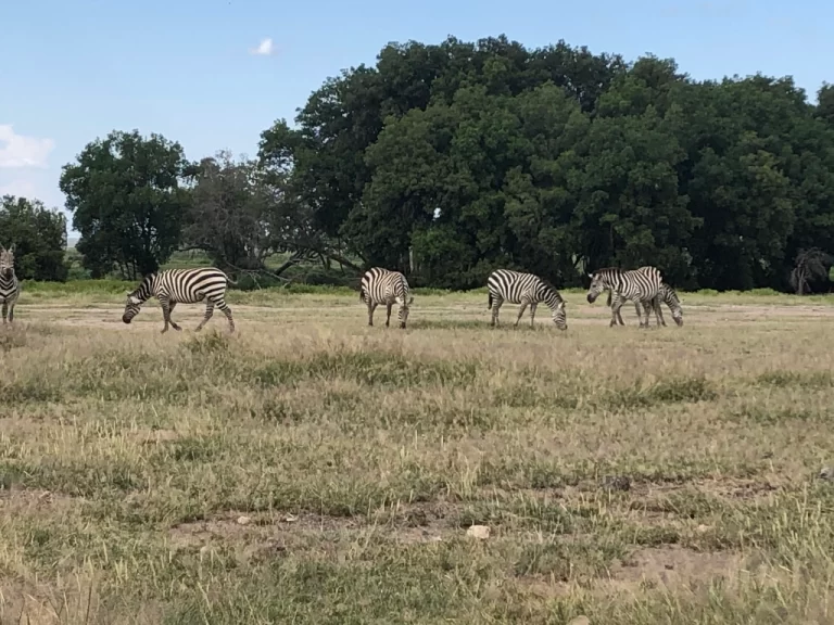 Visiting Kenya